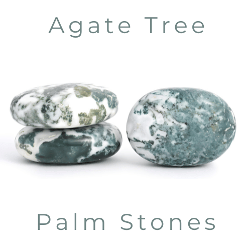 Agate Tree Palm Stones