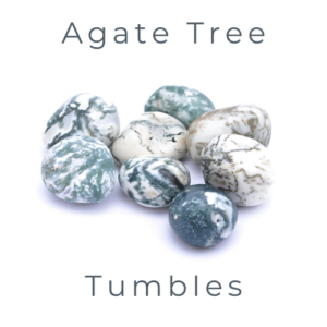 Agate Tree Tumbles (250 grams)